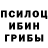 Галлюциногенные грибы Psilocybine cubensis aza 001