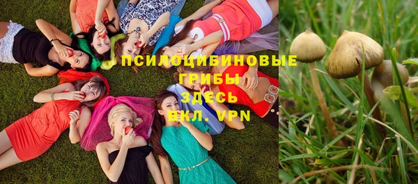 эйфоретик Дмитровск