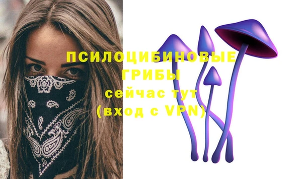 синтетический гашиш Дмитров