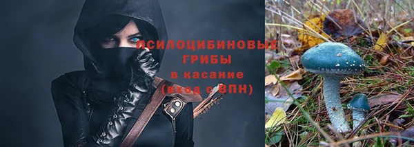 бошки Дмитриев