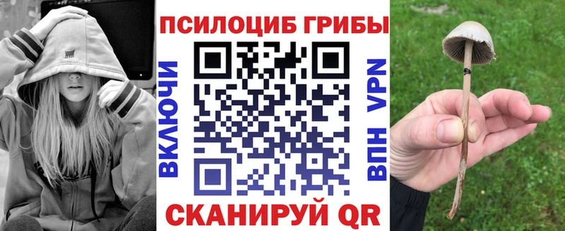 Псилоцибиновые грибы Psilocybe  Купить где  Бийск 